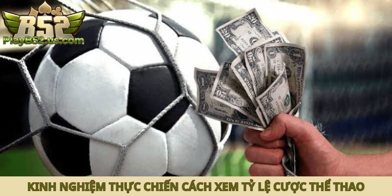Kinh nghiệm thực chiến cách xem tỷ lệ cược thể thao