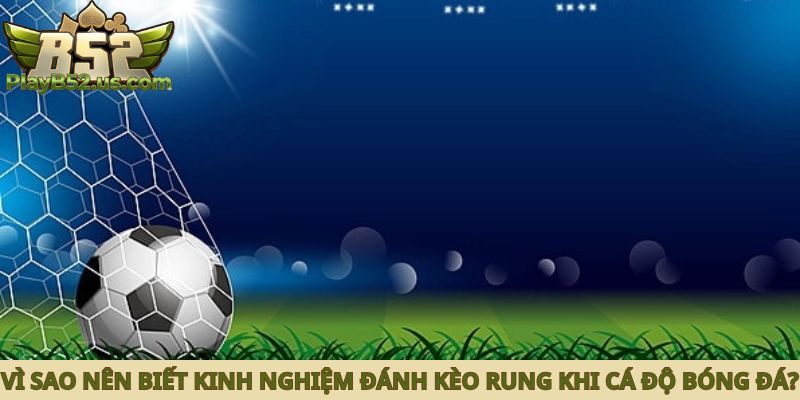 Vì sao nên biết kinh nghiệm đánh kèo rung khi cá độ bóng đá?